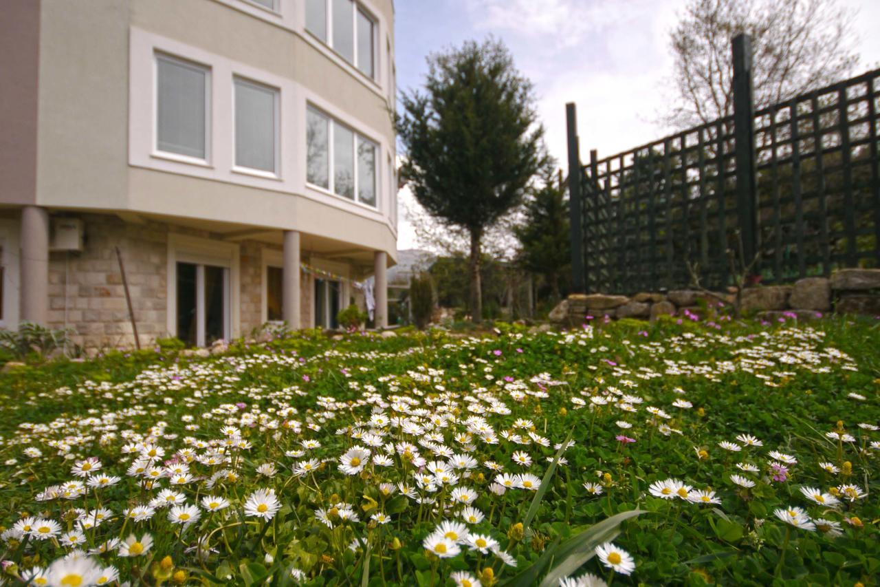 בודווה Mirta Apartments Family Farm מראה חיצוני תמונה